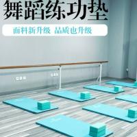 舞蹈练功垫儿童技巧折叠垫舞蹈生垫子加厚机构跳舞培训垫